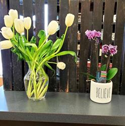 Pet Valu, Maple, ON opening hours
