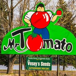 Mr Tomate, Richibucto, NB opening hours