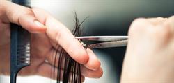 Debn Hair, Ancaster, ON opening hours