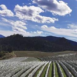 Sila Grow Sales (BC) Ltd, Salmon Arm, BC opening hours