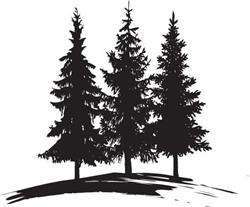 Tall Pines, Perrault Falls, ON opening hours