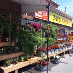 Bbs Variety, Port Colborne, ON opening hours