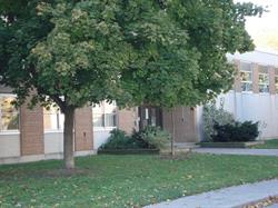 King George Junior Public School, York, ON opening hours