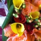 Petals Plus, Mayerthorpe, AB opening hours