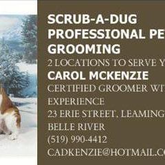 Scrub a Dug, Leamington, ON opening hours