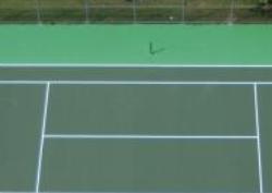Colour-Court in Mississauga, ON (Erin Mills) - Opening Hours
