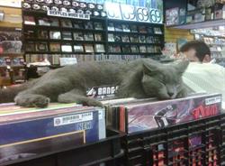 Music Trader in Winnipeg, MB (Roslyn) - Opening Hours