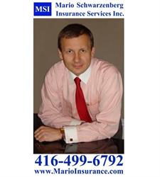 Msi - Mario Schwarzenberg Insurance Services Inc. in North York, ON (The Greater Toronto Area (Gta)) - Opening Hours
