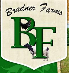 Bradner Farms, Abbotsford, BC opening hours