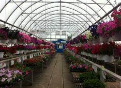 J & C Gardens, Leduc County, AB opening hours