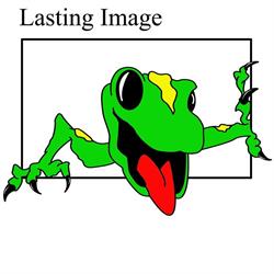 Lasting Image, Brandon, MB opening hours