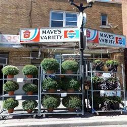 Maves Variety in Hamilton, ON (Central Hamilton) - Opening Hours