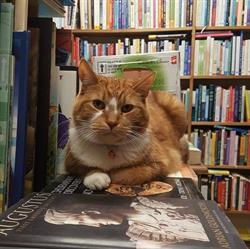 Seekers Books in Toronto, ON (Harbord Village) - Opening Hours
