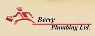 Berry Plumbing, Vanessa, ON opening hours
