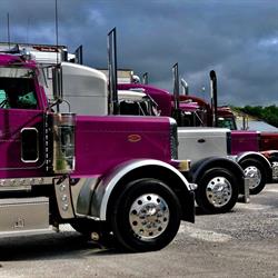 Maye Transport, East Gwillimbury, ON opening hours