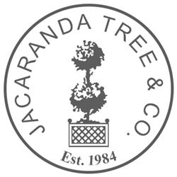 Jacaranda Tree in Toronto, ON (Davisville) - Opening Hours