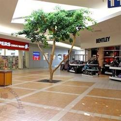 Southland Mall, Winkler, MB opening hours
