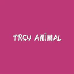 T R C V Animal, Gatineau, QC opening hours