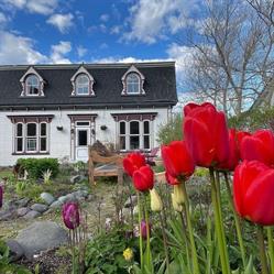 Rosedale Manor Bed & Breakfast, Placentia, NL opening hours