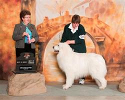 Aragon Grooming, Seguin, ON opening hours