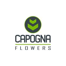 Capogna Flowers, Ruthven, ON opening hours