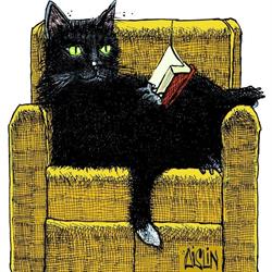 Black Cat Books, Sherbrooke, QC opening hours