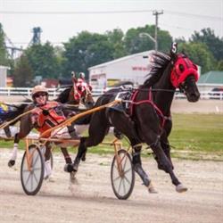 Dresden Raceway, opening hours