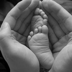 Guelph Midwives, opening hours
