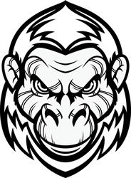 Gorilla Surplus in Vancouver, BC (Fairview) - Opening Hours