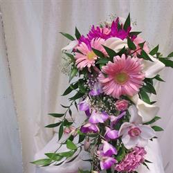 Pacific Florist in Toronto, ON (Lawrence Heights) - Opening Hours
