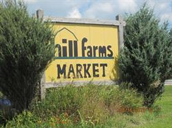 Hill Farms Market, Owen Sound, ON opening hours