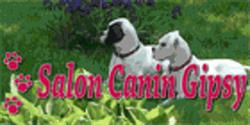 Salon Canin Gipsy, Saint-Augustin-de-Desmaures, QC opening hours