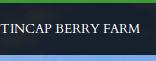 Tincap Berry Farm, Brockville, ON opening hours