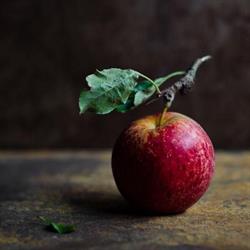 Apple Seed Cottage, Campbell River, BC opening hours