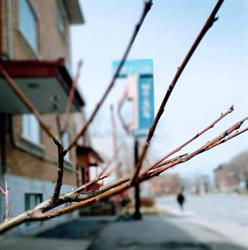 Chambres Chez Lise, Longueuil, QC opening hours