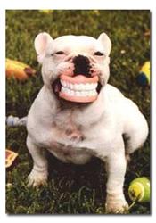GAJ Denture Clinic, Winnipeg, MB opening hours