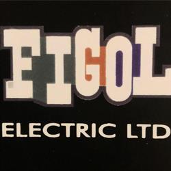 Figol Electric Ltd, Brandon, MB opening hours