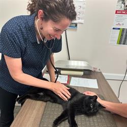 Brant Animal Clinic, Burlington, ON opening hours