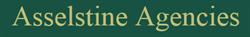Asselstine Agencies, Birtle, MB opening hours