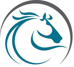 Equine Services Ltd, Calgary, AB opening hours