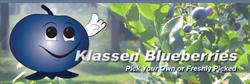 Klassen Blueberries, Harrow, ON opening hours