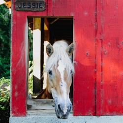 Arrowvale Campground, Port Alberni, BC opening hours