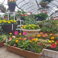 Belanger Landscaping, Charlo, NB opening hours