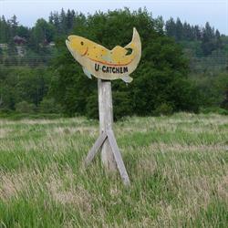Colebrook Trout Farm in Surrey, BC (Newton) - Opening Hours