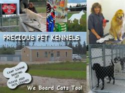Precious Pet Kennels, The Pas, MB opening hours
