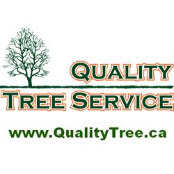 Quality Tree Service, Acton, ON opening hours