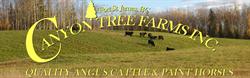 Canyon Tree Farms Incorporated, Fort St. James, BC opening hours