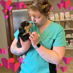 Clearwater Vet Clinic, Rocky Mountain House, AB opening hours