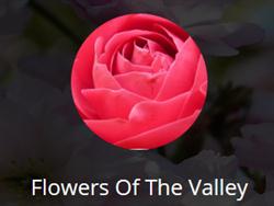 Flowers Of The Valley in North York, ON (Hillcrest Village) - Opening Hours