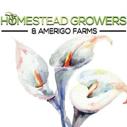 Homestead Growers Incorporated, Vineland Station, ON opening hours